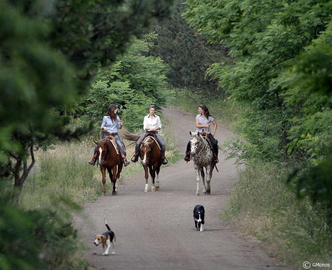El Bronco Working Ranch Izsak Bagian luar foto